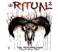 Andy Briggs Ritual: The Resurrection Paperback Book Andy Briggs Multicolor