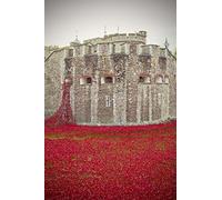 Andy Evans Photos Tower of London Photograph a 12"x18" Photographic Print of the poppies at the Tower of London Blood Swept Lands and Seas of Red England UK portrait photo colour picture