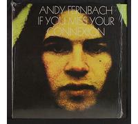 ANDY FERNBACH - if you miss your connexion