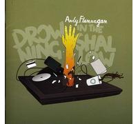 Andy Flannagan - Drowning In The Shallow