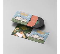 Andy Frasco - Growing Pains [Vinyl LP] [VINYL]