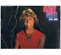Andy Gibb - After dark (BUL, 1980) / Vinyl record [Vinyl-LP]