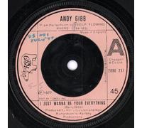 Andy Gibb - I Just Wanna Be Your Everything