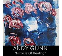 Andy Gunn - Miracle Of Healing