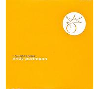 ANDY PORTMANN - > FALLING TO PIECES