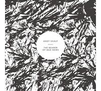 Andy Shauf - The Bearer Of Bad News [VINYL]
