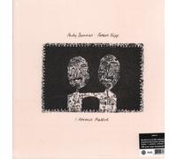 Andy Summers And Robert Fripp - I Advance Masked (2024 David Singleton Mix) [VINYL]