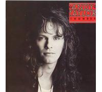 Andy Taylor - Thunder