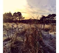 ANE BRUN - LEAVE ME BREATHLESS