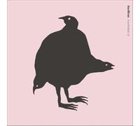 Ane Brun - Rarities 2 [VINYL]