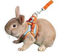 Anelekor Bunny Harness and Leash Set Reflective Strip Kitten Vest Harness Escape Proof Rabbit Leash Walking Pet Accessories for Small Cat XXS Dog Guinea Pig and Small Animals (Orange, Small)