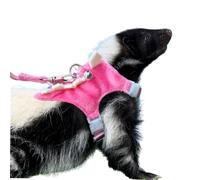 Anelekor Ferret Harness and Leash Set Small Animals Vest Harness with Safe Bell Dinosaur Shaped Walking Clothes for Baby Rabbit Guinea Pig Teacup Chihuahua Mouse and Other Small pet. (Pink Dinosaur)