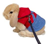 Anelekor Small Pet Costume Rabbit Clothes Ferret Hoodies Sweatshirt Bunny Vest Harness and Leash Set Kitten Sweater Small Animals Outfits for Chihuahua Kitty Mini Dog and Small Breeds (A, L)