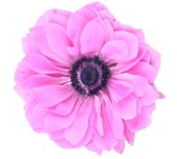 Anemone 'Animo Double Pink'. Plug Plant x6. Spring flowering perennial. Long lasting pink flowers. Bedwen Plants Online Garden Centre