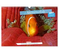 Anemonefish - always busy - always on the move (Wall Calendar 2027 DIN A3 landscape), CALVENDO 12 Month Wall Calendar: Clownfish - Always busy - Always in move