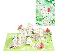 ANEWISH 3D Birthday Card, Pop Up Daisy Greeting Card, Friendship, Gift, Surprise, Encouragement Card
