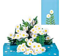 ANEWISH 3D Pop Up Flower Birthday Card with Daisy, Includes Envelope and Message Card
