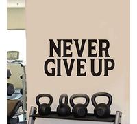 AnFigure Gym Quotes Wall Decals: Inspirational Office Vinyl Art Wall Stickers for Garage Classroom School Workspaces - Never Give Up 28.6"X15"