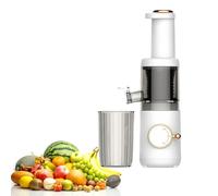 ANGDI Compact Cold Press Juicer Machines, 625ml Slow Masticating Juicer, Up to 98% Juice, Juice Extractor for High Nutrient Fruits Vegetables, Removable and Washable Design, Reverse Function