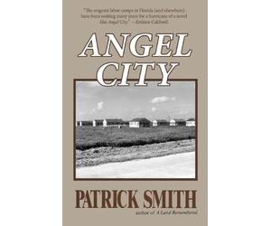 Angel City by Smith, Patrick D (2012)