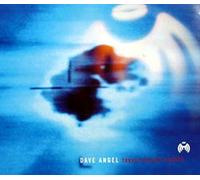 Angel, Dave - Tokyo Stealth Fighter