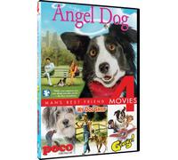 Angel Dog / My Dog Shep / George / Paco [DVD] [Region 1] [US Import] [NTSC]