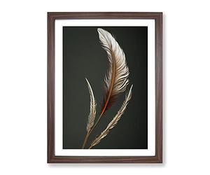 Angel Feathers Framed Print | A4 Walnut Framed Wall Art | Ready to Hang | Modern Nature Picture | Living Room Bedroom Lounge Office