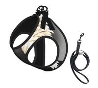 angel feathers Print Dog Harness and Leash Set,Breathable Adjustable Escape Proof Vest for Cats Dogs