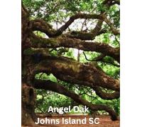 Angel Oak Tree Johns Island SC Gratitude Journal