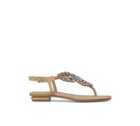 Angel Strappy Flat Sandal- female- ALMA EN PENA- Flat Sandals- Beige- 3 UK- Shoes 3 UK