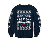 Angel TV Inspired Sci Fi Who Adults Christmas Jumper Sweatshirt (UK, Alpha, M, Regular, Regular) Blue