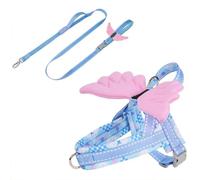 Angel Wings Dog Harness Leash Set,Close Range Control Escape Proof Pet No Pull Harness for Outdoor Walking Training_XS(Blue)