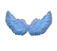 Angel Wings for Adults Kids, White Feather Wings Halloween Angel Fairy Costume Cosplay for Women Girls, Fallen Angel Wings Costume for Adult Halloween Christmas Party Fancy Dress Up (Light Blue)