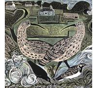Angela Harding Fair Isle Curlews & The South Lighthouse Blank Greeting Card with Envelope