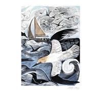 Angela Harding Gannets at Rathlin Island Blank Greeting Card with Envelope