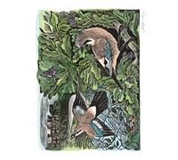 Angela Harding Knepp Jay Blank Greeting Card with Envelope