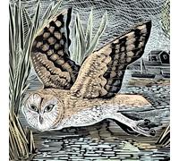 Angela Harding Marsh Owl Blank Greeting Card with Envelope