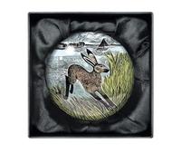 Angela Harding Young Hare Crystal Dome Paperweight