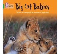 Angela Scott Big Cat Babies Book Angela Scott Multicolor