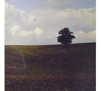 Angela Valid - This Book's On Fire