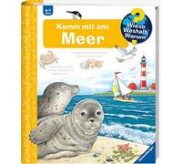 Angela Weinhold Wieso? Weshalb? Warum?, Band 17: Komm mit ans Mee (Spiral Bound)