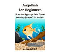 Angelfish for Beginners - Species Appropriate Care for the Graceful Cichlids