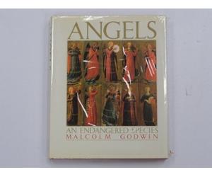 Angels: An Endangered Species