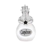 Angels and Snowmen Light Up Hanging Christmas Decorations Cameron Snowman
