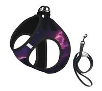 Angels In The Polar Night Dog Harness - Breathable, Reflective, And Adjustable Pet Vest, Suitable For Small Cats And Dogs