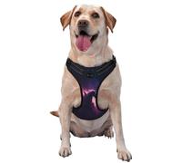 Angels In The Polar Night Dog Harness For Small, Medium, And Large Dogs – Reflective Straps, Adjustable Fit With Quick-Release Buckles