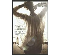 Angel's Silhouette: Book Two in the Distorted Windows Trilogy: 2 (The Vanderbrooke Universe)