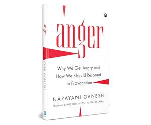 Anger: Why We Get Angry and How We Should Respond to Provocation