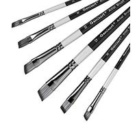 Angle Aritst Paint Brushes Set - 6 Pcs Angled Art Paintbrushes for Acrylic, Oil, Watercolor Painting - Premium Nylon Hair Anglular Shader Brush for Beginners and Professionals