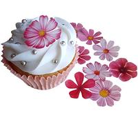 Anglesit Pre-cut Beautiful Pink Flowers Edible Rice/Wafer Paper Cupcake Toppers Birthday Party Wedding Cake Decorations (Flowers)